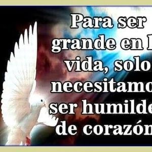 Meet your Posher, Eva